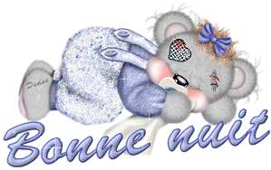 bonne nuit ours